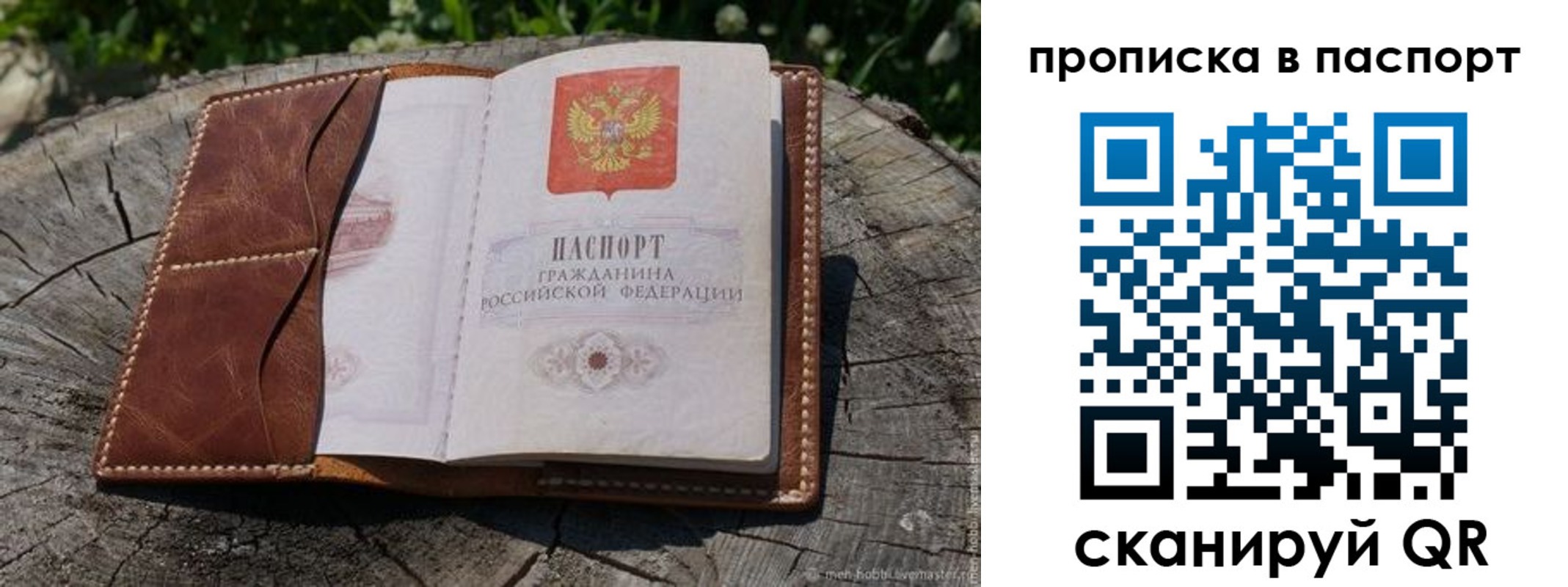 прописка в Камышине